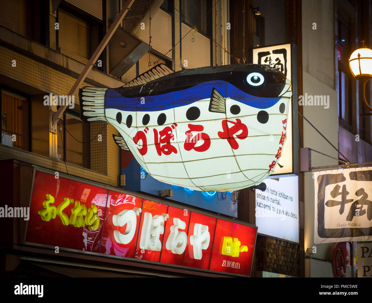 A fugu (pufferfish, globefish, blowfish) lantern outside of Zuboraya, a famous fugu restaurant in the Dotonbori district of Osaka, Japan. Stock Photo