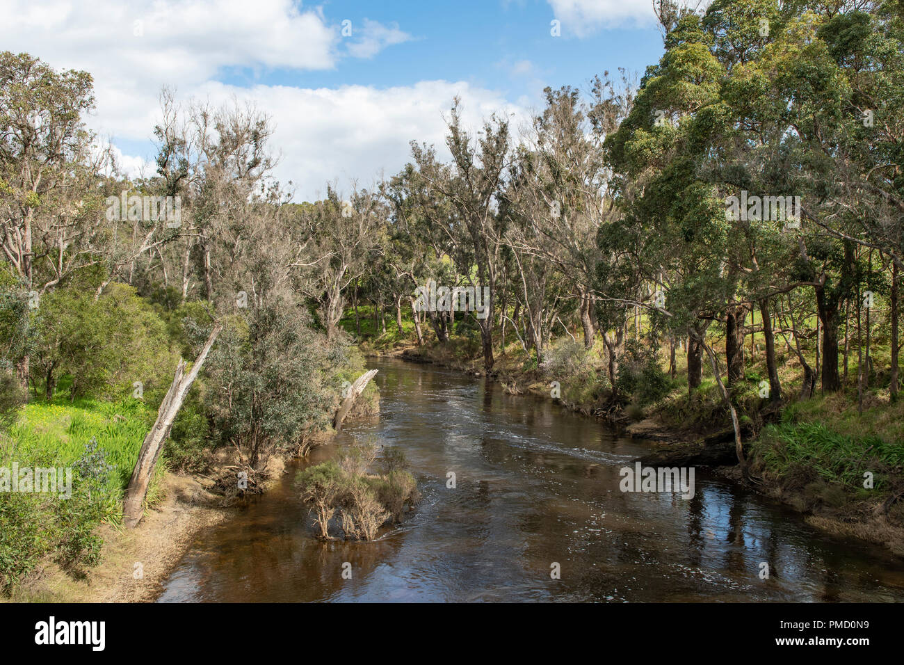 Blackwood River, Nannup, WA, Australia Stock Photo