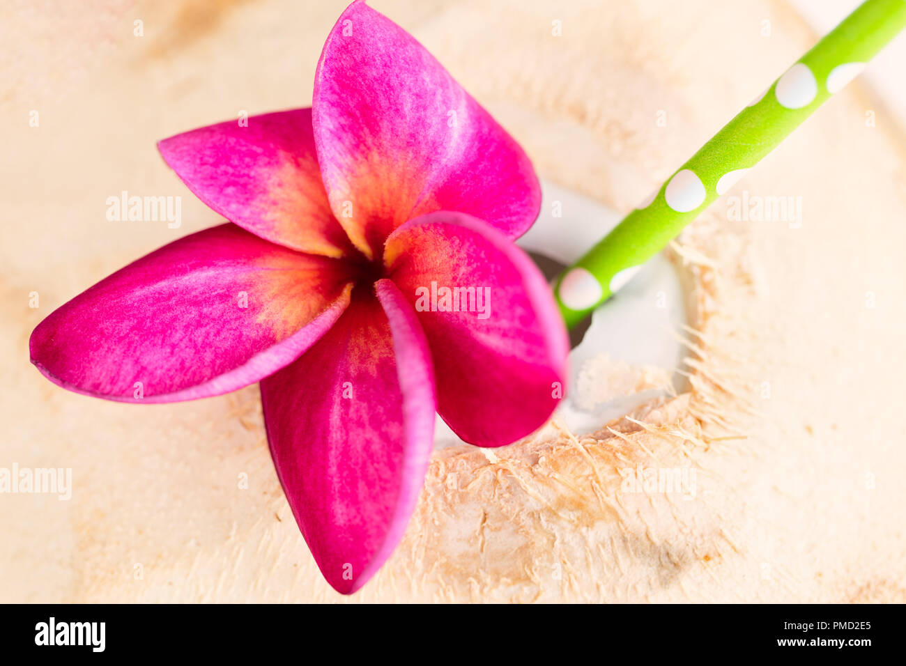 Coconut drink with a green straw and purple frangipani flower, top view