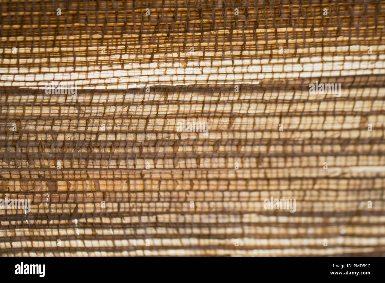 Close-up studio image of backlit handmade banana paper showing details and textures, backdrop Stock Photo