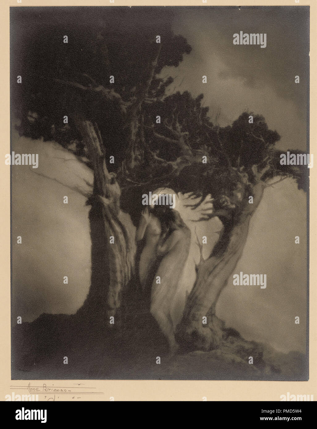 The Heart of the Storm. Date/Period: Negative 1902; print 1914. Print. Gelatin silver, toned or gelatin silver bromide. Height: 246 mm (9.68 in); Width: 197 mm (7.75 in). Author: Anne W. Brigman. Stock Photo