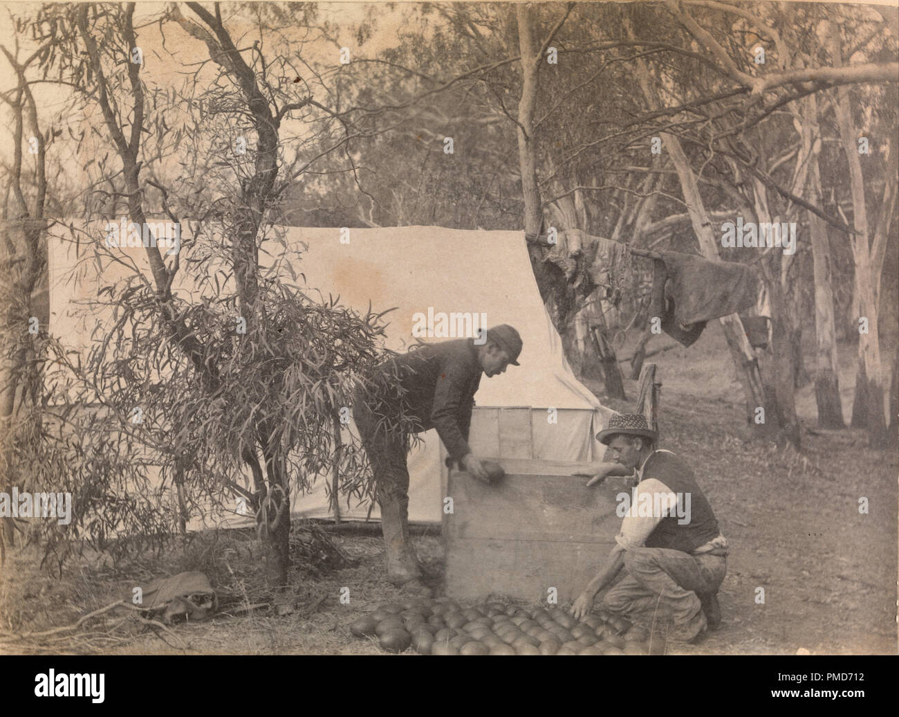 An Emu Eggers Camp. Date/Period: 1894 - 1895. Image. Photograph Photograph. Height: 109 mm (4.29 in); Width: 150 mm (5.90 in). Author: Archibald James Campbell. Stock Photo