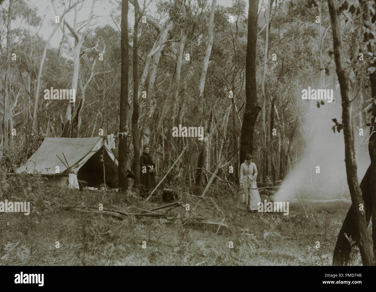 https://c8.alamy.com/comp/PMD74B/pioneer-women-in-land-clearing-dateperiod-1890-image-photograph-photograph-author-archibald-james-campbell-PMD74B.jpg