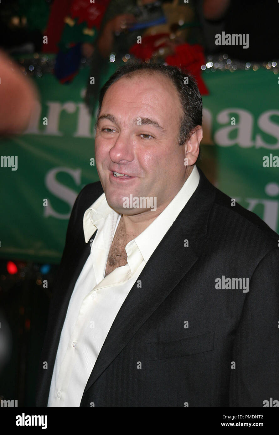 'Surviving Christmas' Premiere James Gandolfini Photo by Joseph Martinez - All Rights Reserved  File Reference # 21984 0050PLX  For Editorial Use Only - Stock Photo