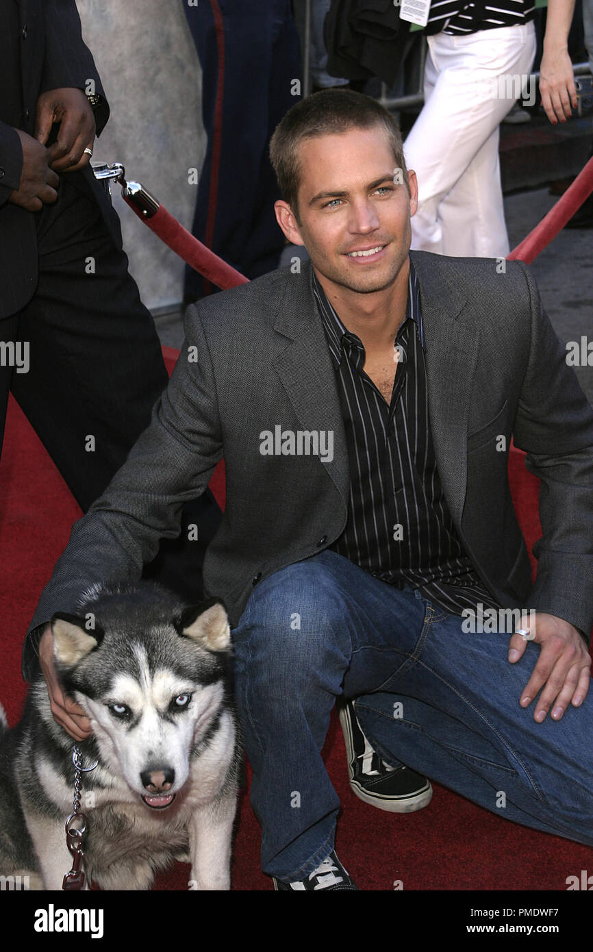Paul walker dog eight below hi-res stock photography and images - Alamy