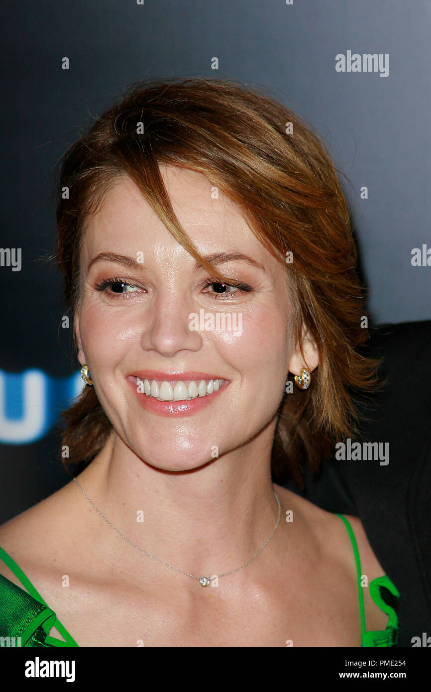 Untraceable Premiere Diane Lane  1-22-2008 / Silver Screen Theater at the Pacific Design Center / West Hollywood, CA / Screen Gems / Photo by Joseph Martinez File Reference # 23336 0052JM   For Editorial Use Only - Stock Photo