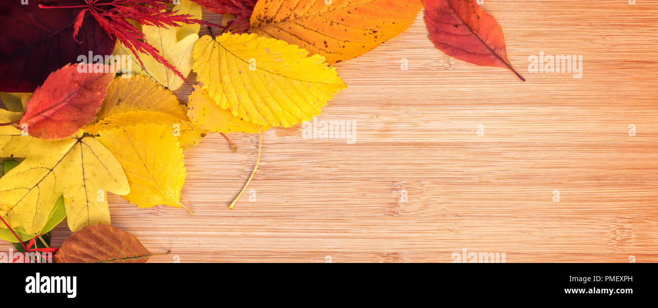 Panorma of colorful autumnal leaves, wooden background with copy space Stock Photo