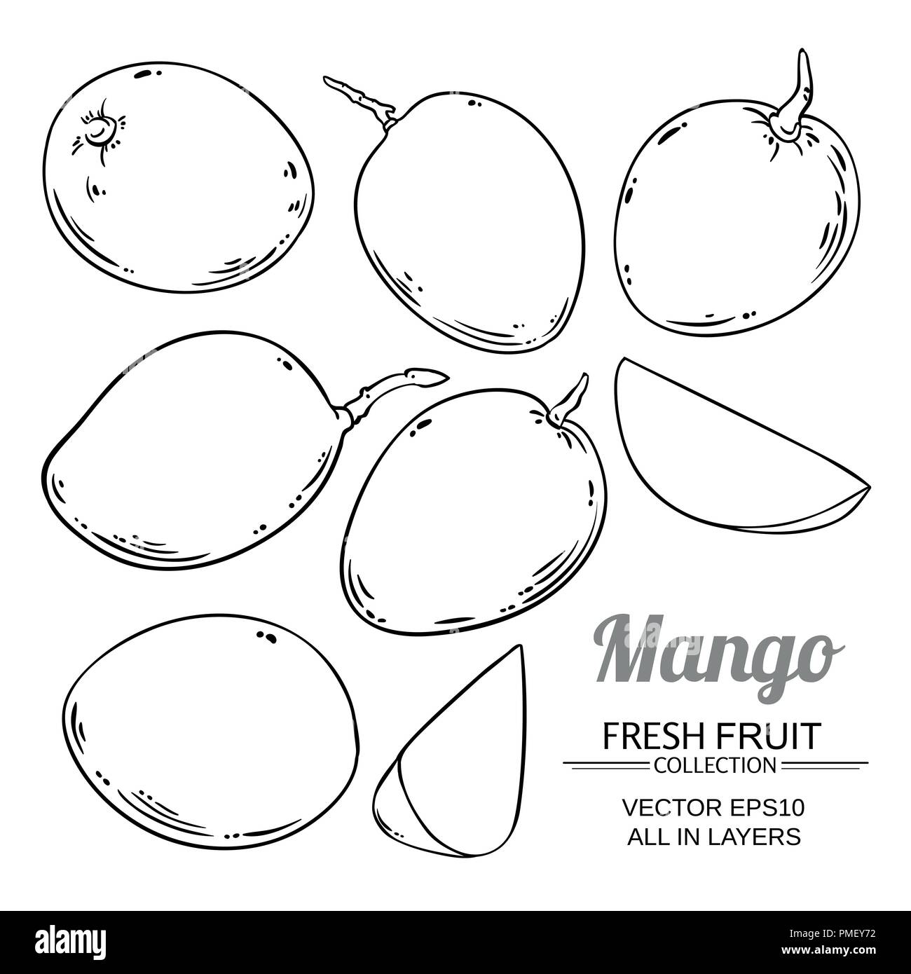 mango fruit vector isolated on white background Stock Vector