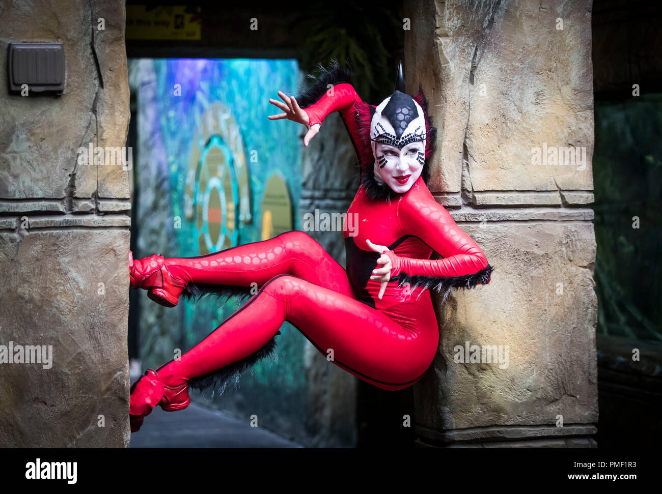 Svetlana Delous dresses as a red spider, one of the cast from Cirque du Soleil's OVO at Tropical World as she arrives in Leeds ahead of their premiere performance tomorrow night. Stock Photo