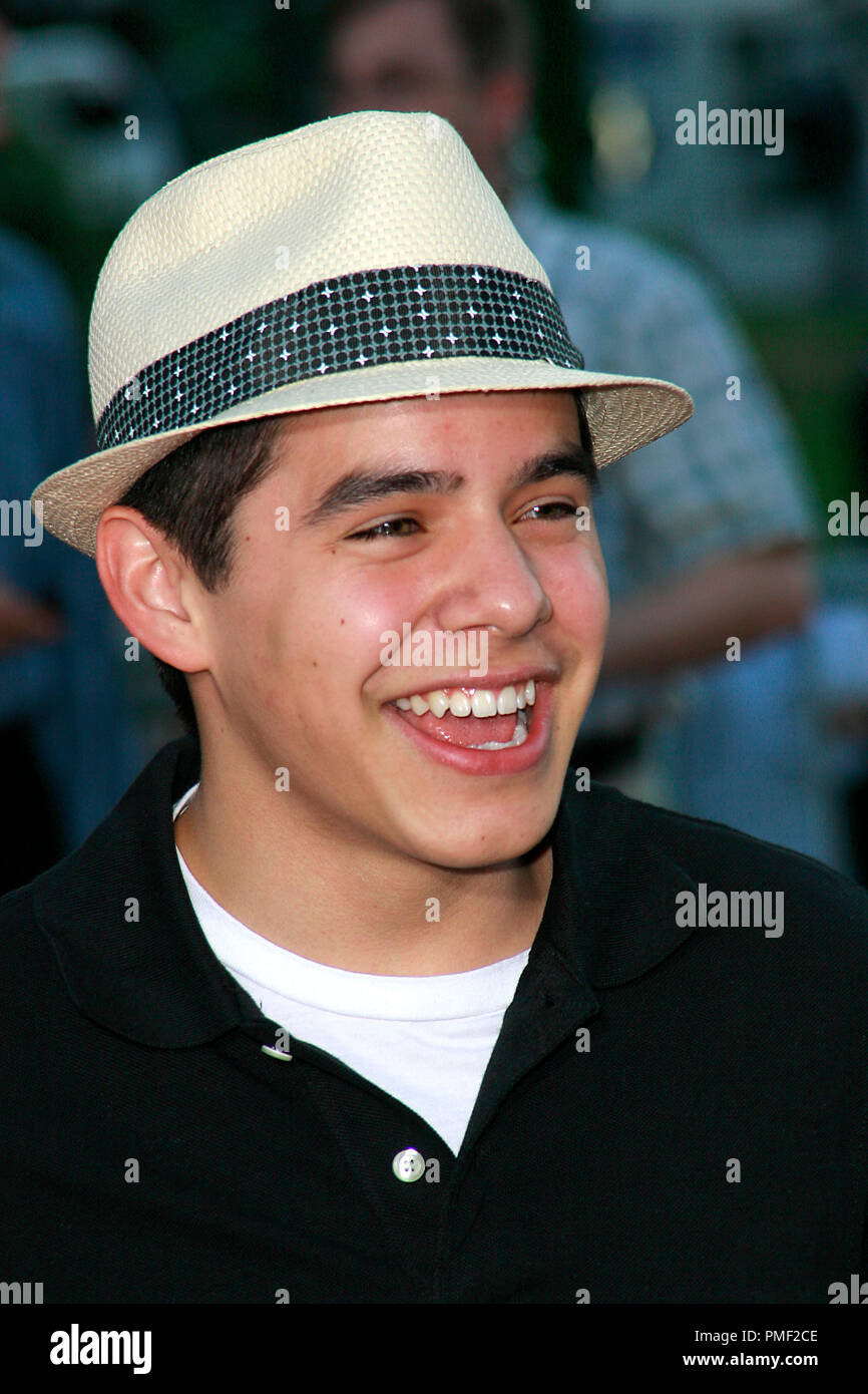 'Wall-E' Premiere David Archuleta  6-21-2008 / Greek Theatre / Los Angeles, CA / Walt Disney Pictures / Photo © Joseph Martinez / Picturelux  File Reference # 23599 0047JM   For Editorial Use Only -  All Rights Reserved Stock Photo