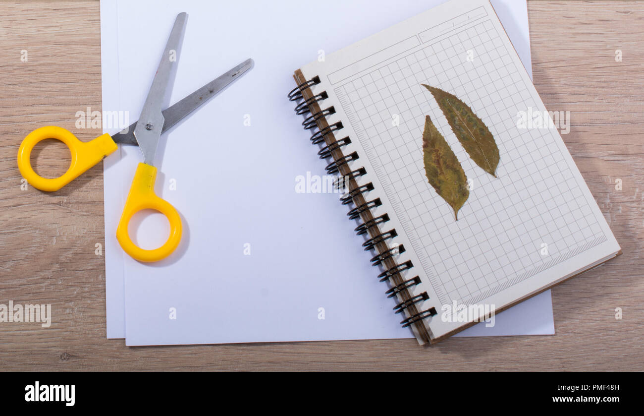 Materials and tools for hand work of art on a  desk Stock Photo