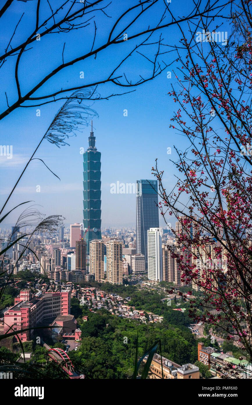 Taipei city buildings skyline framed with plants and flowers Stock Photo