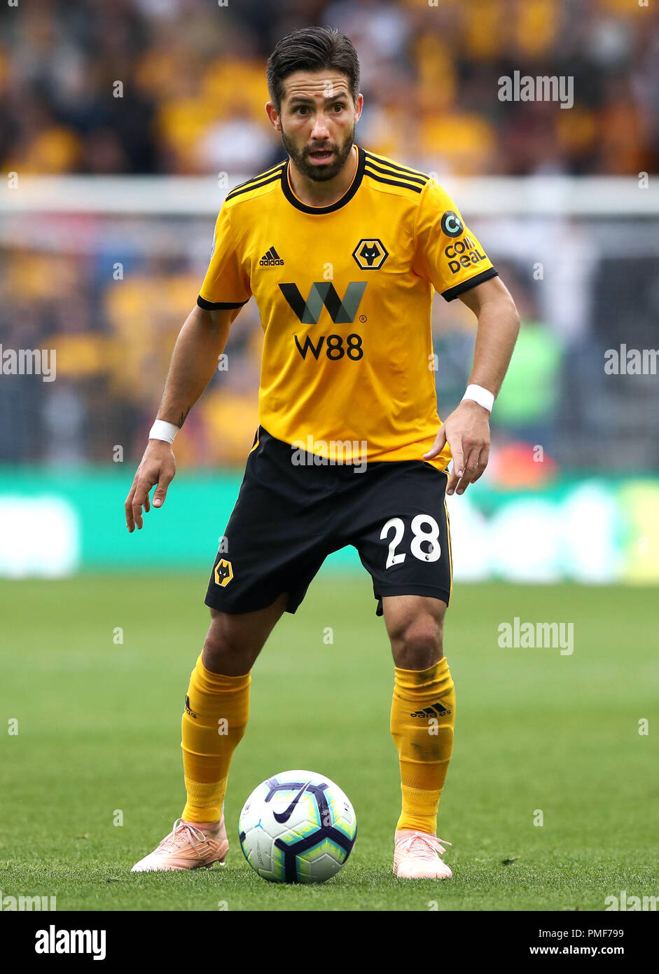 Joao Moutinho, Wolverhampton Wanderers Stock Photo