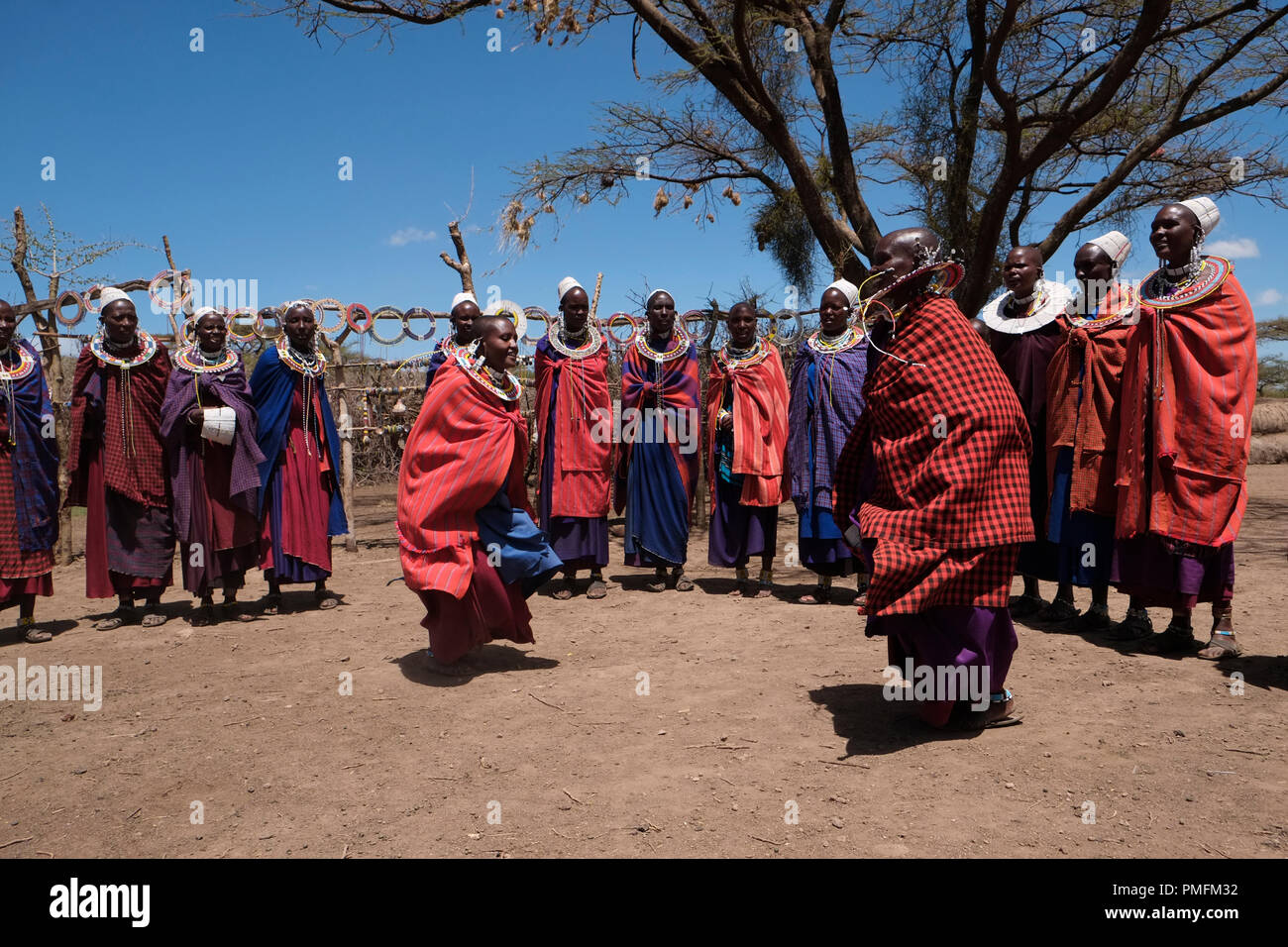 A group of Maasai women in their most spectacular costumes dancing ...