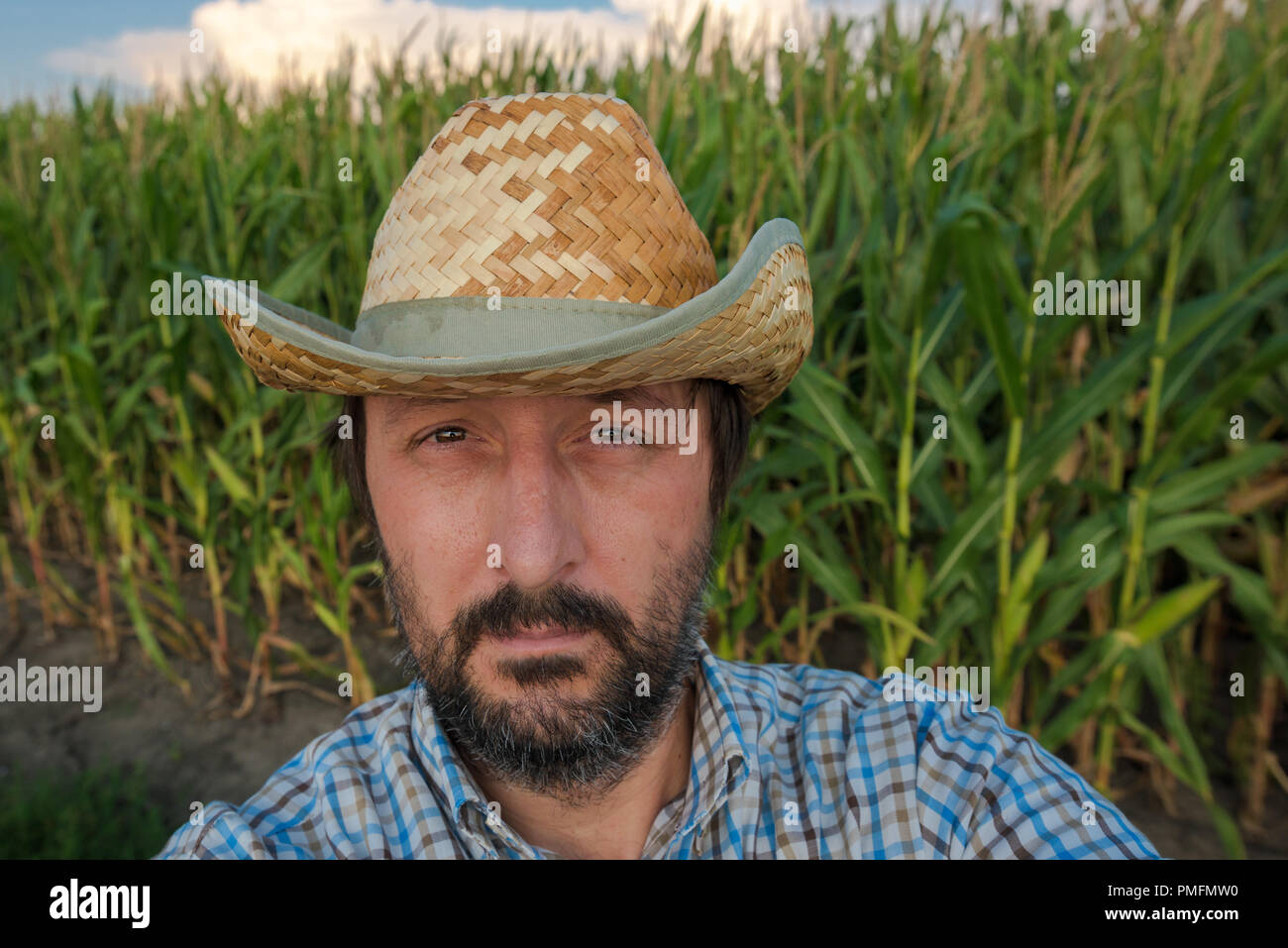Farmer making selfie portrait in corn field, proud and satisfied with growth of his crops Stock Photo