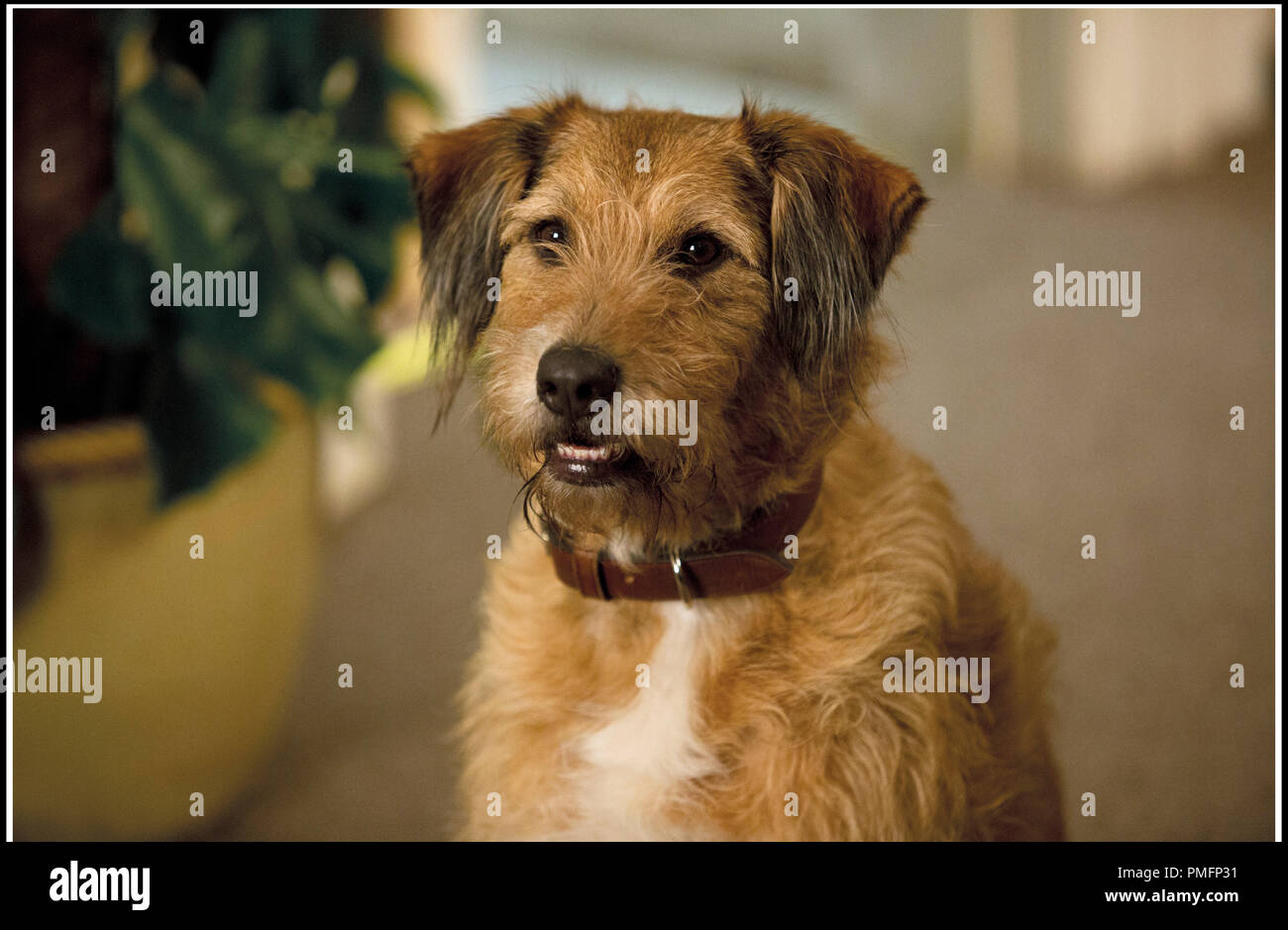 Absolutely Anything Stock Photos Absolutely Anything Stock