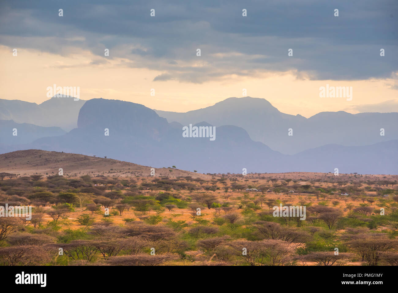Desert shrub-filled plains in evening light against the backdrop of a blue jagged mountain range near Marsabit, in the Kaisut desert, Northern Kenya Stock Photo