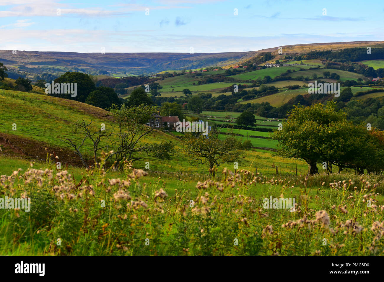 View over Rosedale Abbey, North Yorkshire Moors, England UK Stock Photo