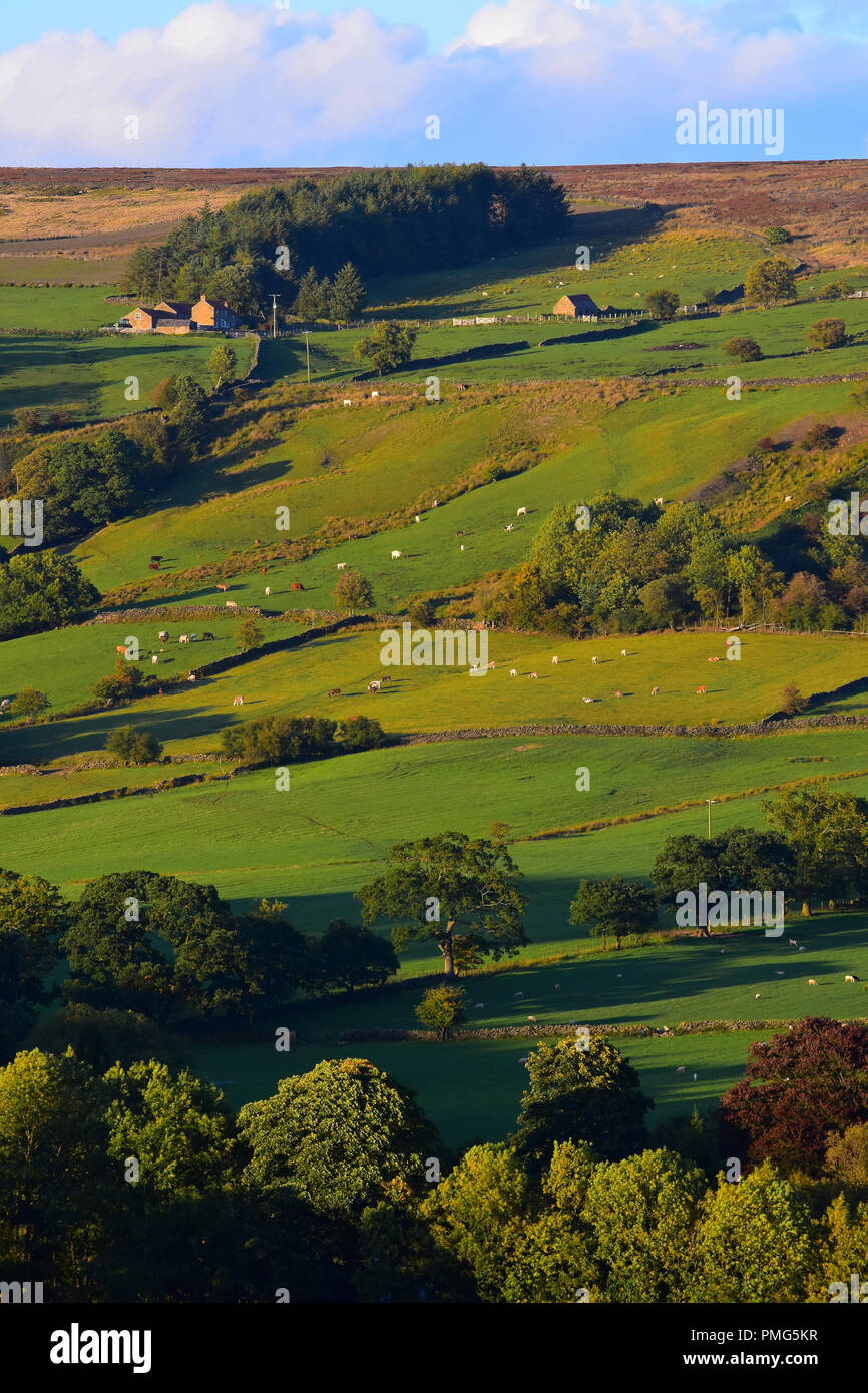 View over Rosedale Abbey, North Yorkshire Moors, England UK Stock Photo