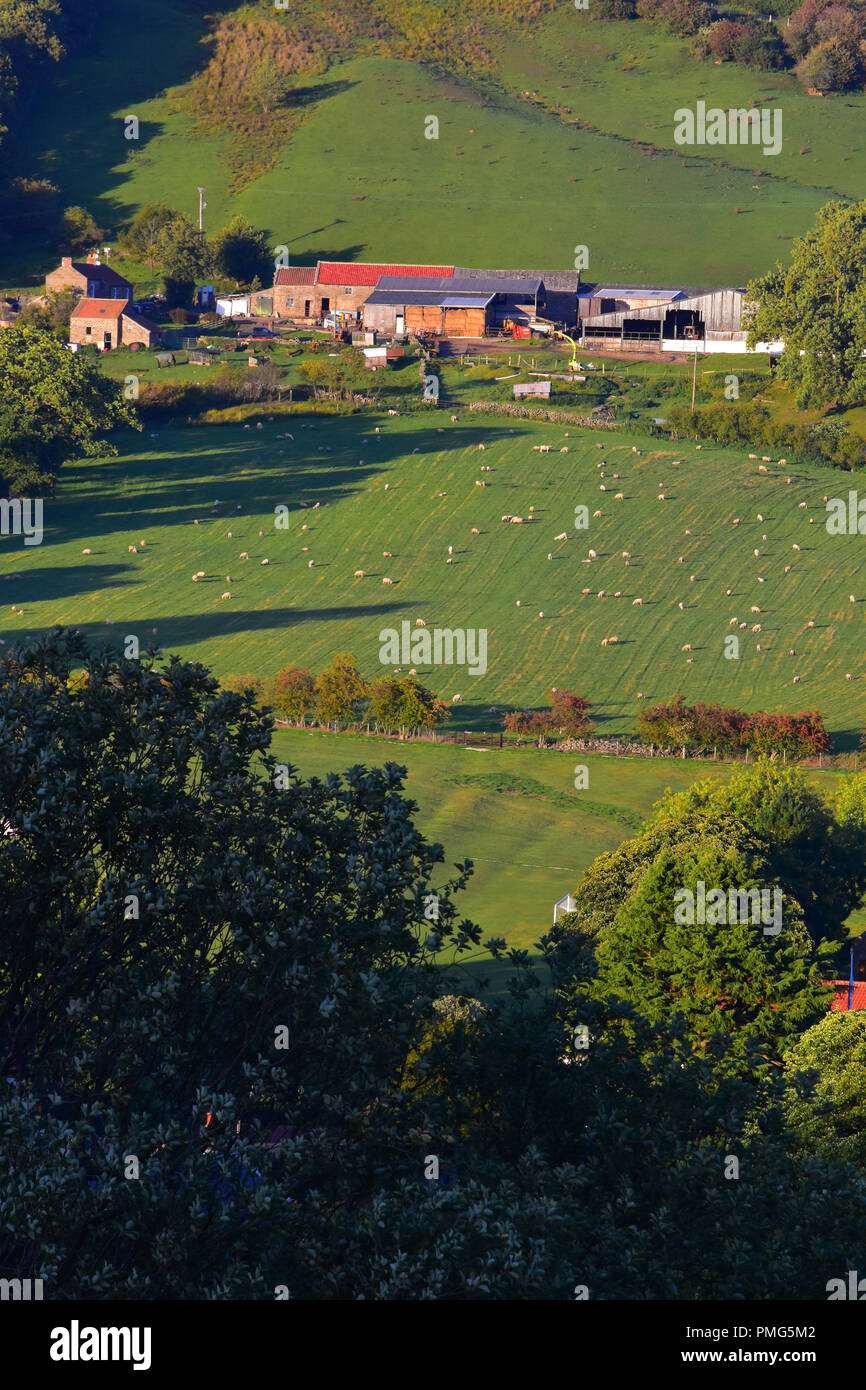 View over Rosedale Abbey, North Yorkshire Moors, England UK Stock Photo