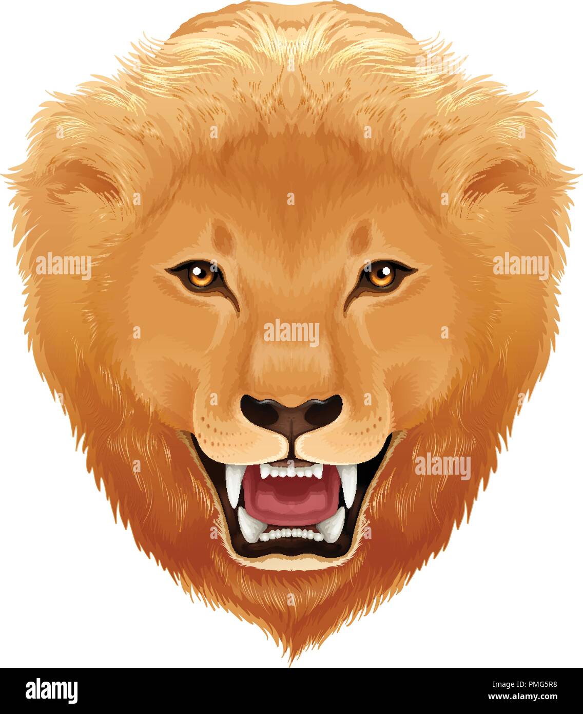Lions head white background illustration Stock Vector