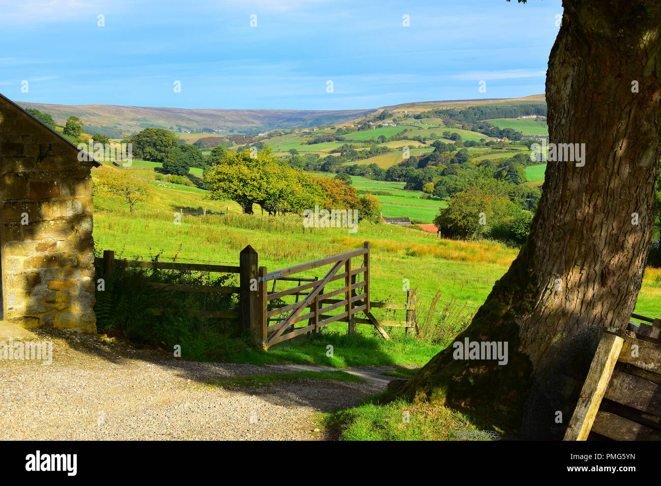 View over Rosedale Abbey, North Yorkshire Moors, England UK Stock Photo
