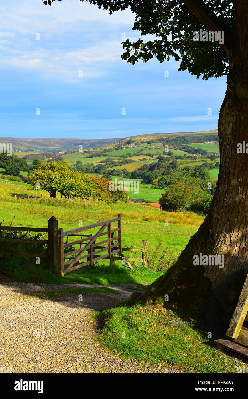 View over Rosedale Abbey, North Yorkshire Moors, England UK Stock Photo ...