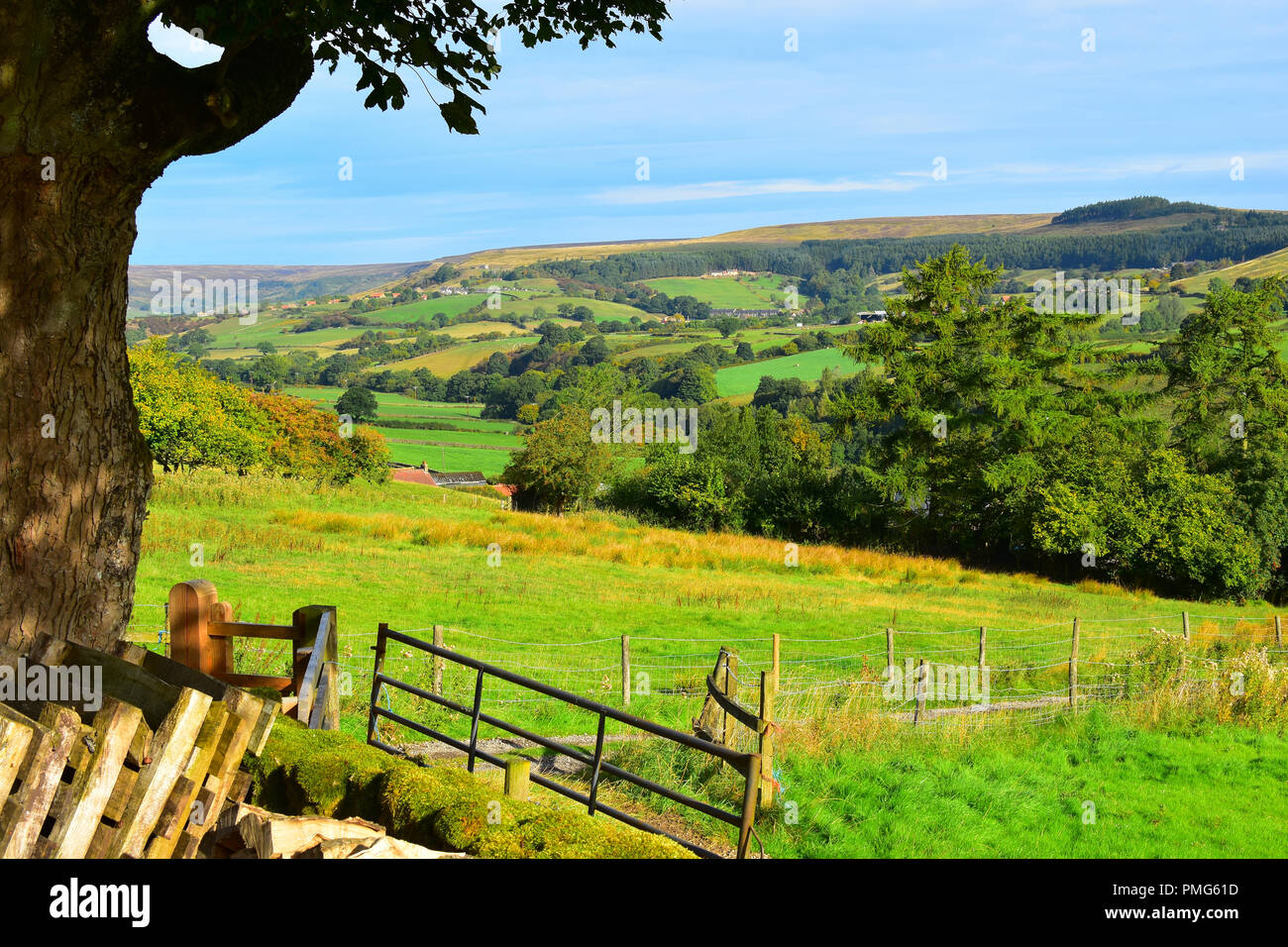 Rosedale abbey north yorkshire hires stock photography and images Alamy