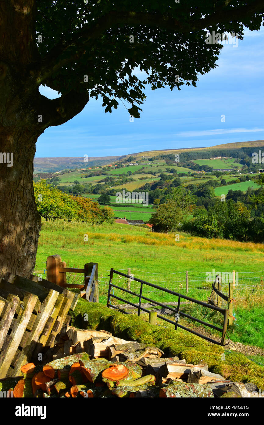 View over Rosedale Abbey, North Yorkshire Moors, England UK Stock Photo