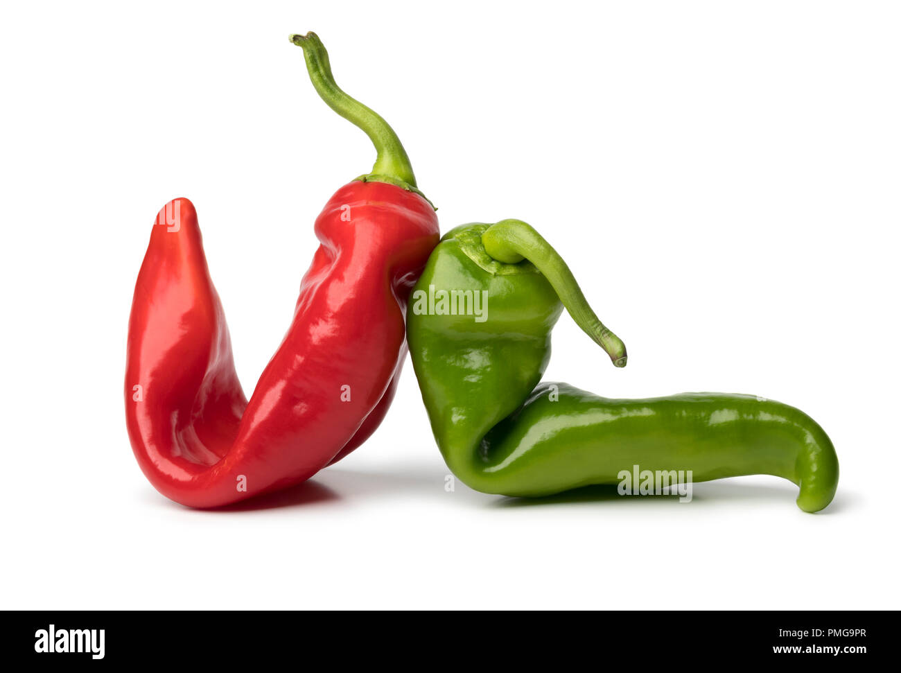 Pair of natural shaped organic red and green fresh pointed bell peppers isolated on white background Stock Photo
