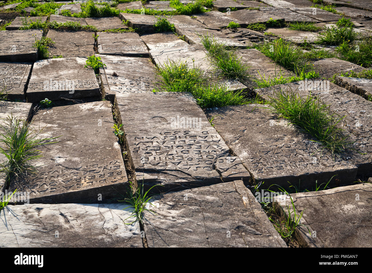 Ancient gravestones of the Bayonne Jewish cemetery (Aquitaine - France). It is considered to be the oldest and the biggest Jewish cemetery in France. Stock Photo