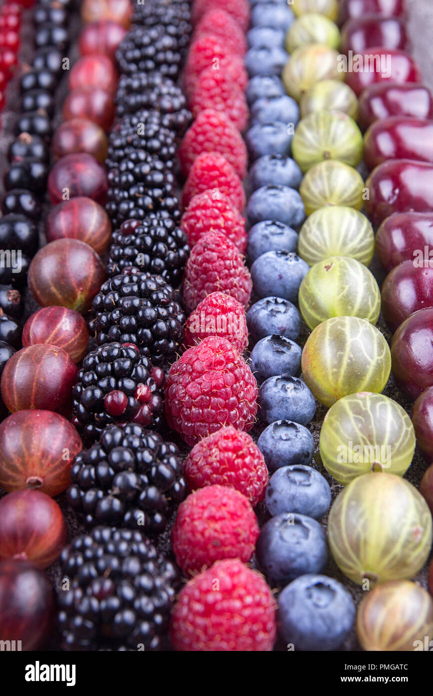 Currant Rows Rows of assorted fruits and berries: sweet cherry, bluberries ...