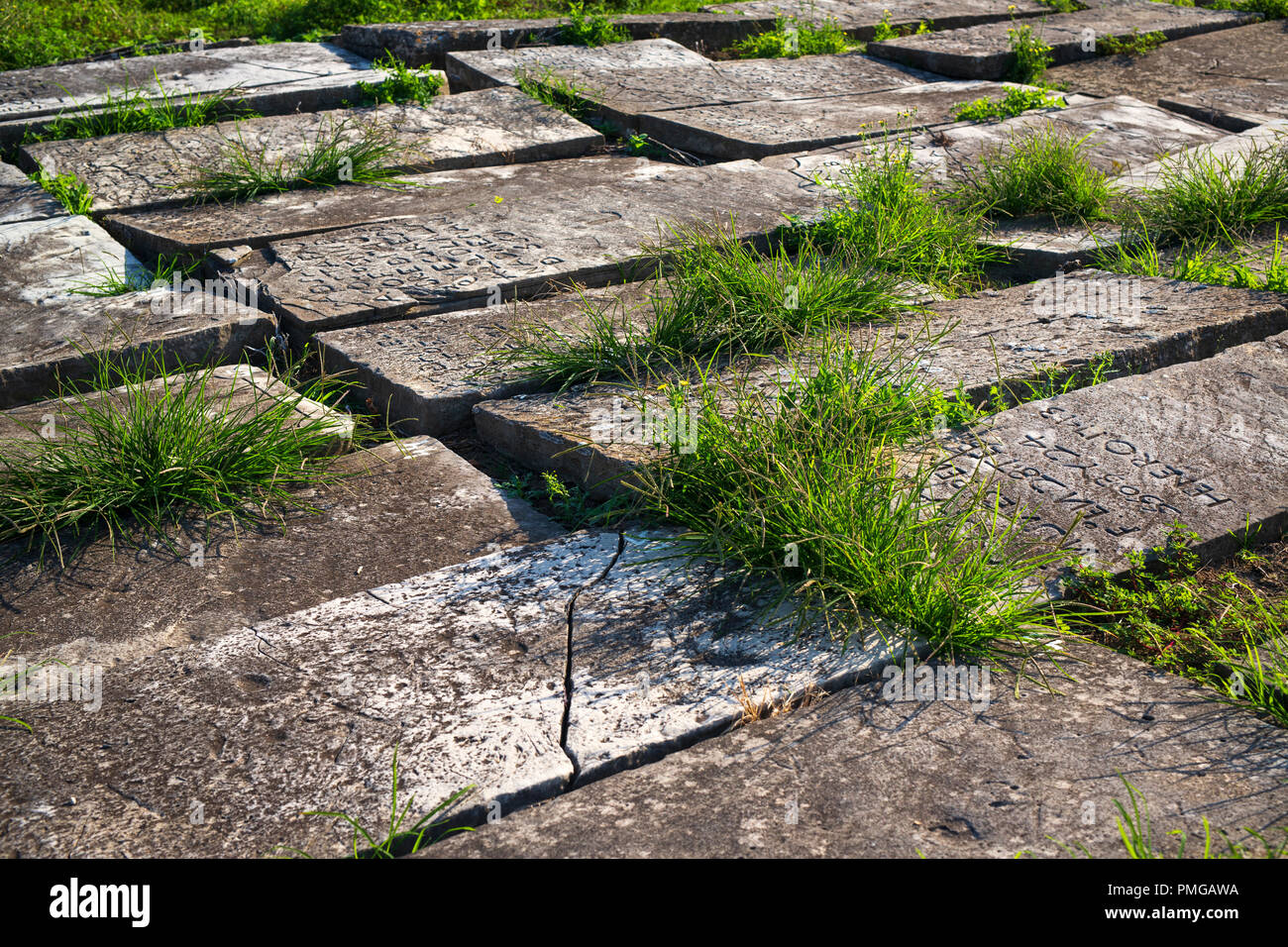 Ancient gravestones of the Bayonne Jewish cemetery (Aquitaine - France). It is considered to be the oldest and the biggest Jewish cemetery in France. Stock Photo