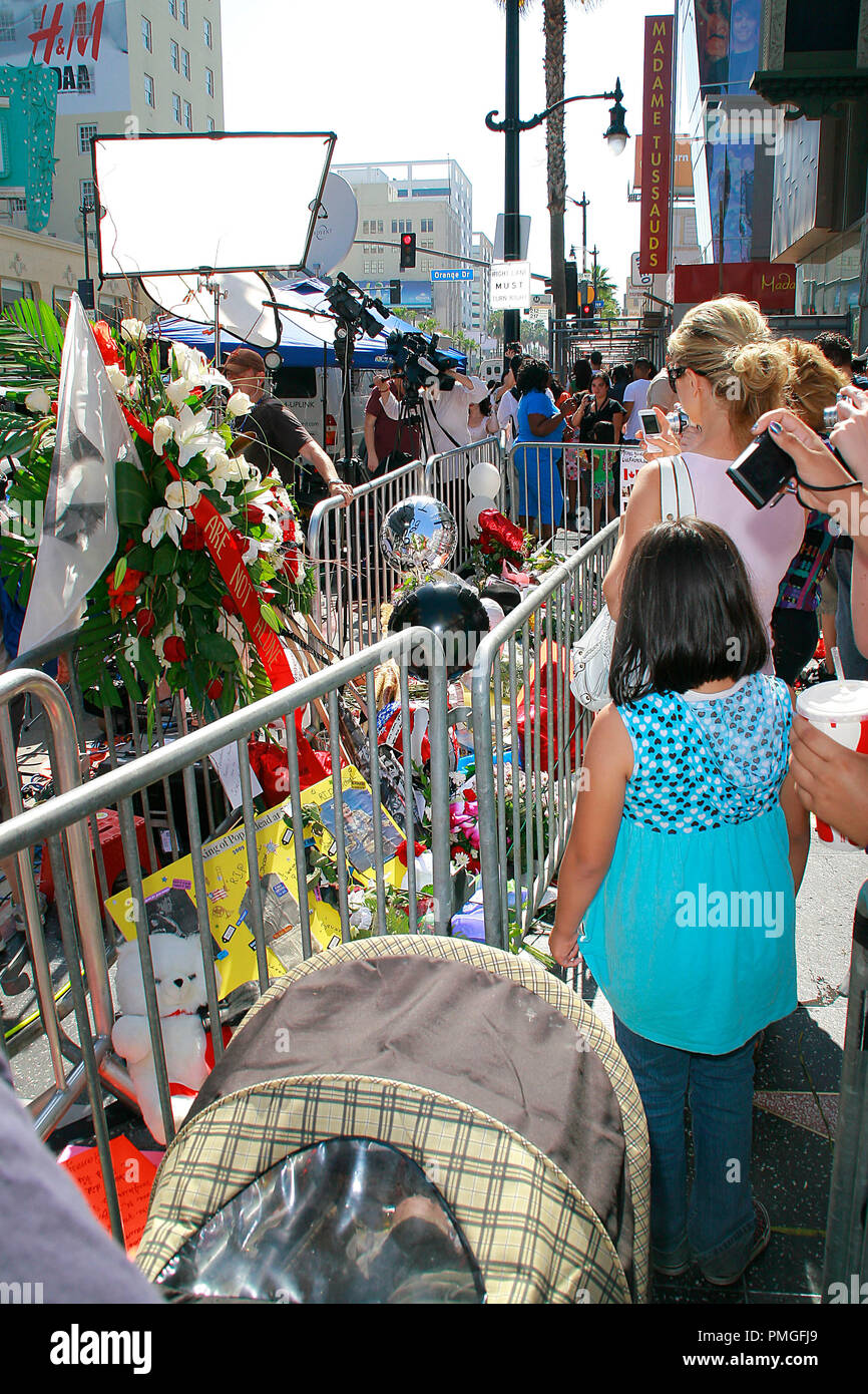 Media and fans converge on the Hollywood walk of fame to pay their respects to Michael Jackson at the make-shift shrine created on top of his Star in front of Grauman's Chinese Theatre in Hollywood, CA, June 27, 2009.  © Joseph Martinez / Picturelux - All Rights Reserved  File Reference # 30035 011PLX   For Editorial Use Only -  All Rights Reserved Stock Photo