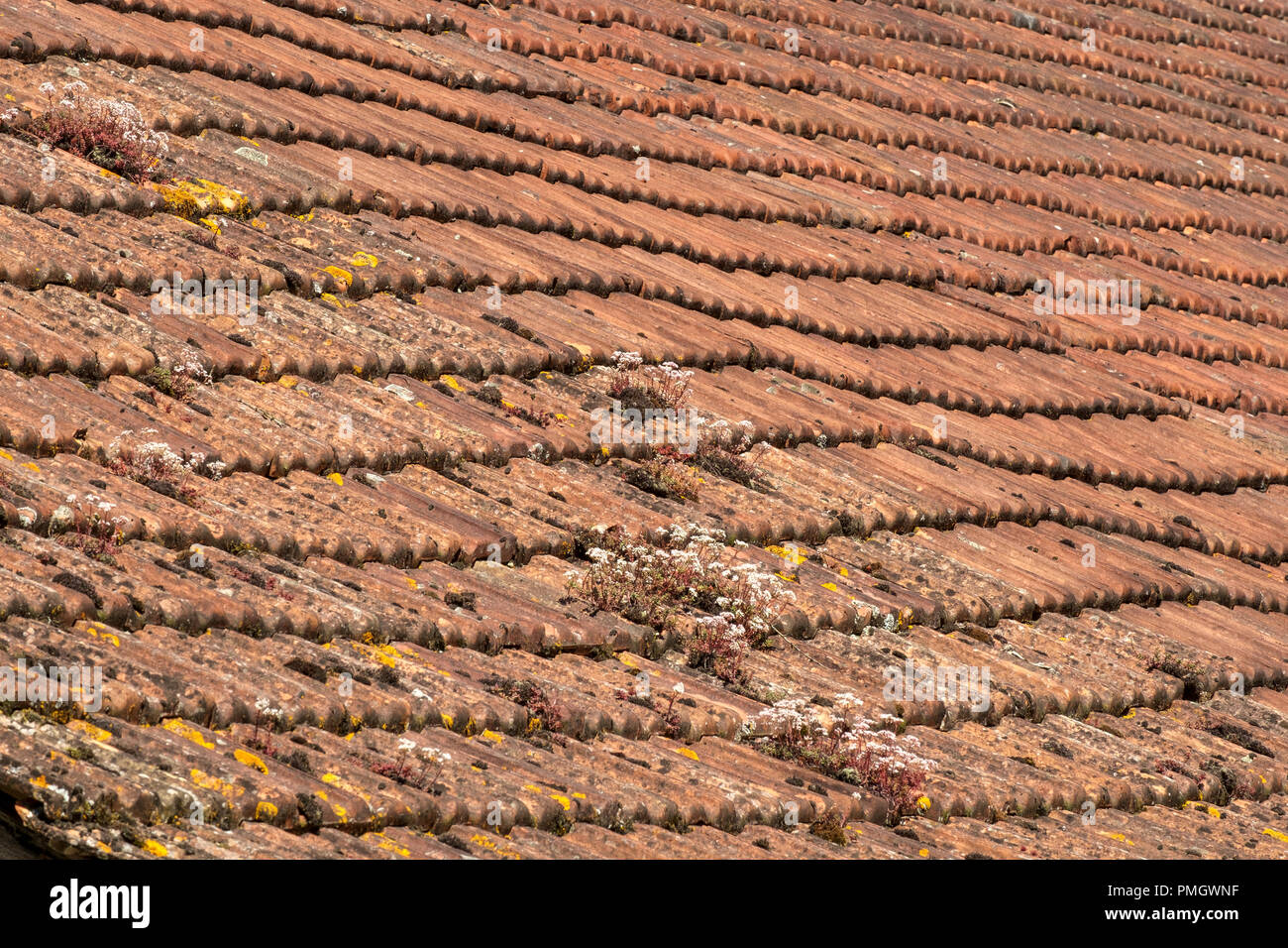 Sagging rustic French roof tiles, full frame construction background texture Stock Photo