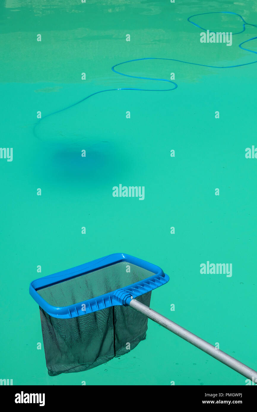 Swimming pool maintenance - a pool skimmer net waits above a green cloudy pool Stock Photo