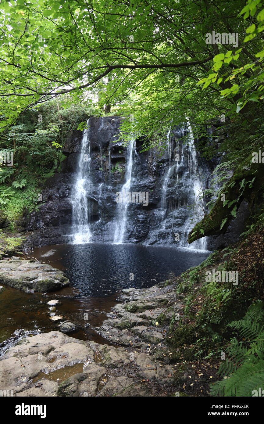 Waterfall in Glenariff Forest Park, County Antrim, Northern Ireland, U.K. Stock Photo