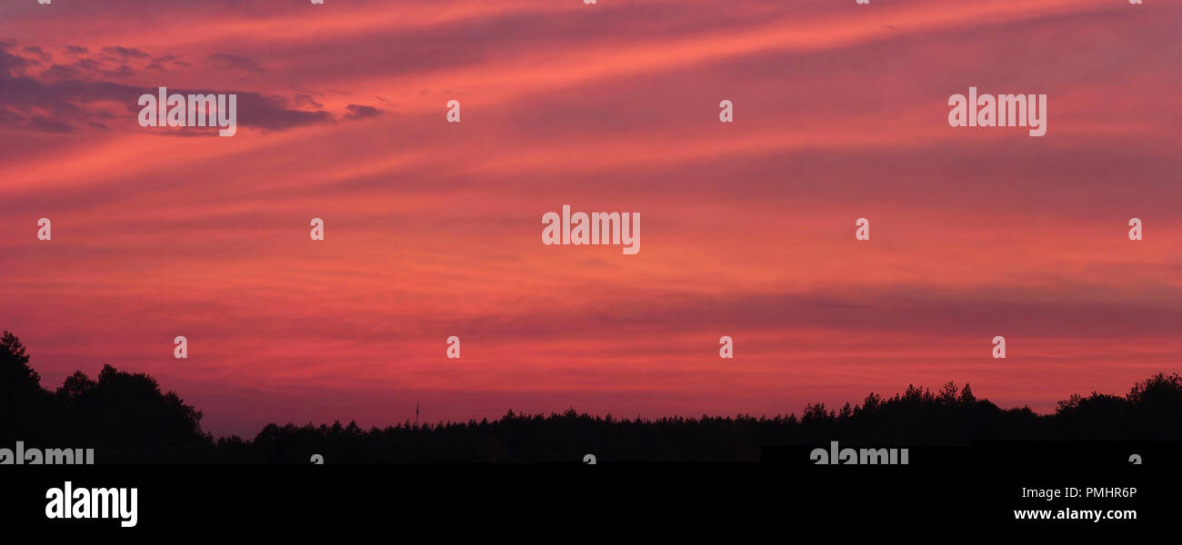 beautiful summer sunset over the forest Stock Photo - Alamy