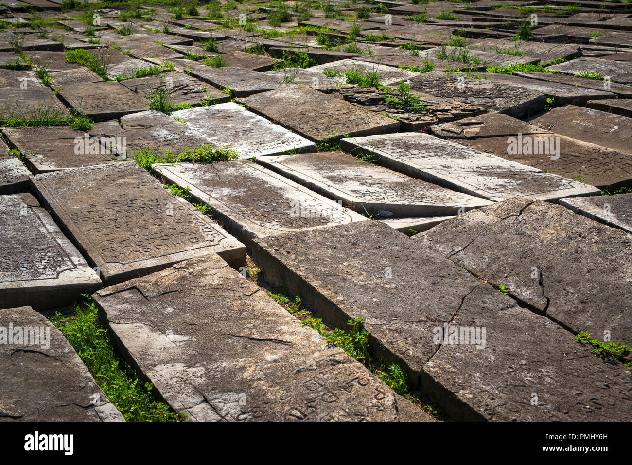 Ancient gravestones of the Bayonne Jewish cemetery (Aquitaine - France). It is considered to be the oldest and the biggest Jewish cemetery in France. Stock Photo