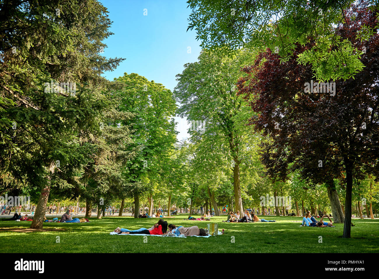Group of people enjoying a social gathering in the park lying down on the grass Stock Photo