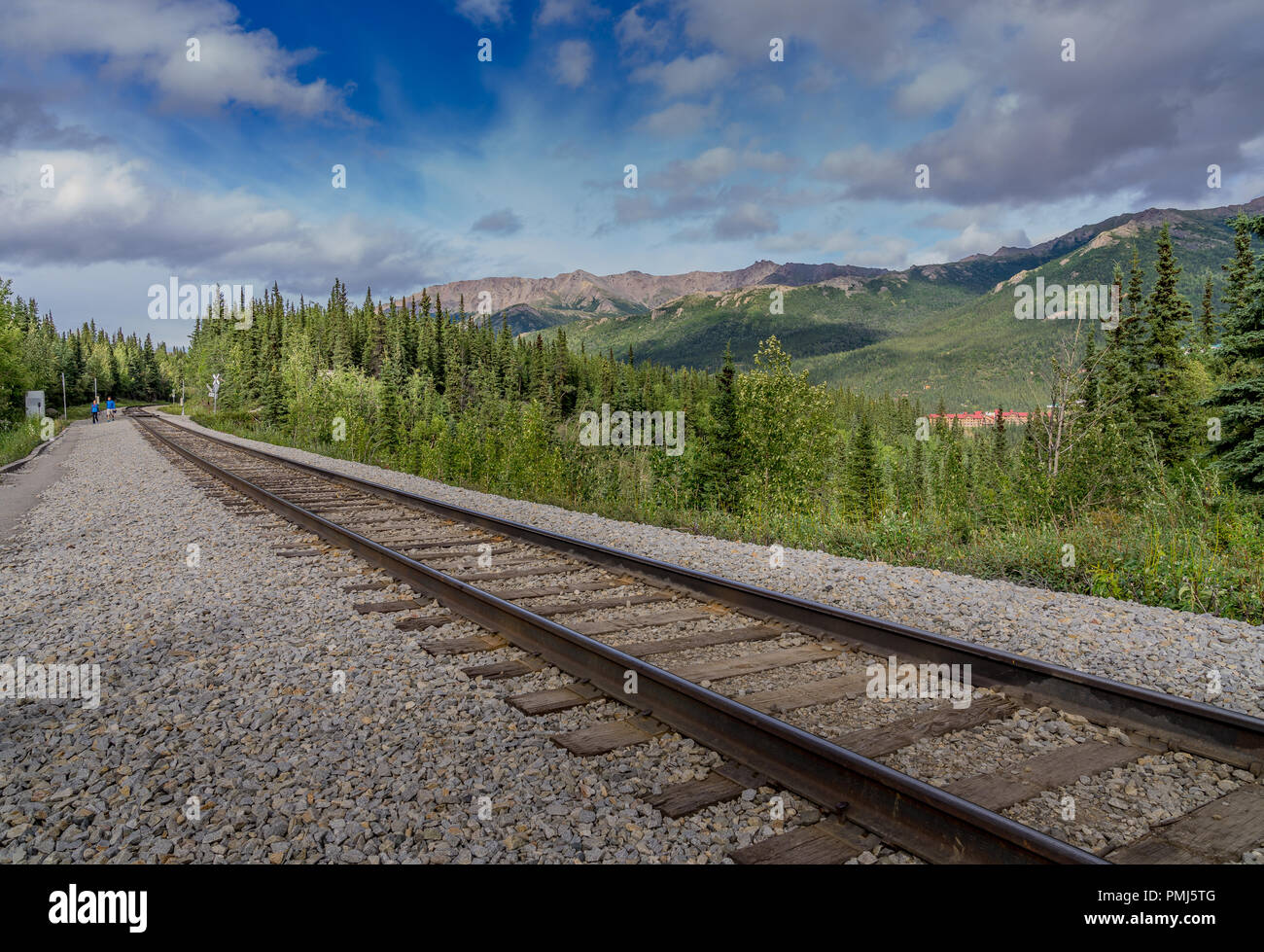 Denali Park Horseshoe Lake Trail entrance near this railroad Stock