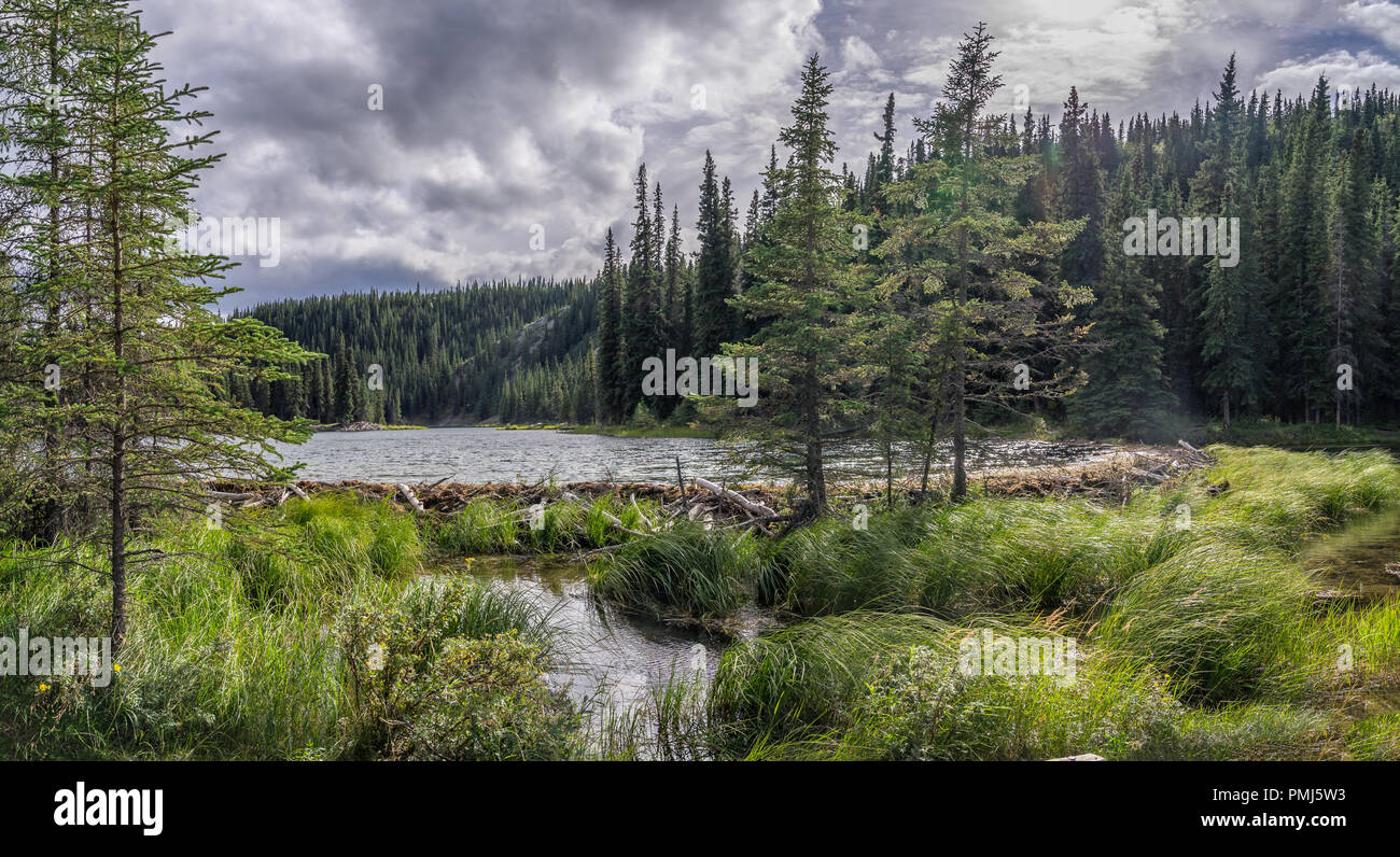 Beaver lodge hires stock photography and images Alamy