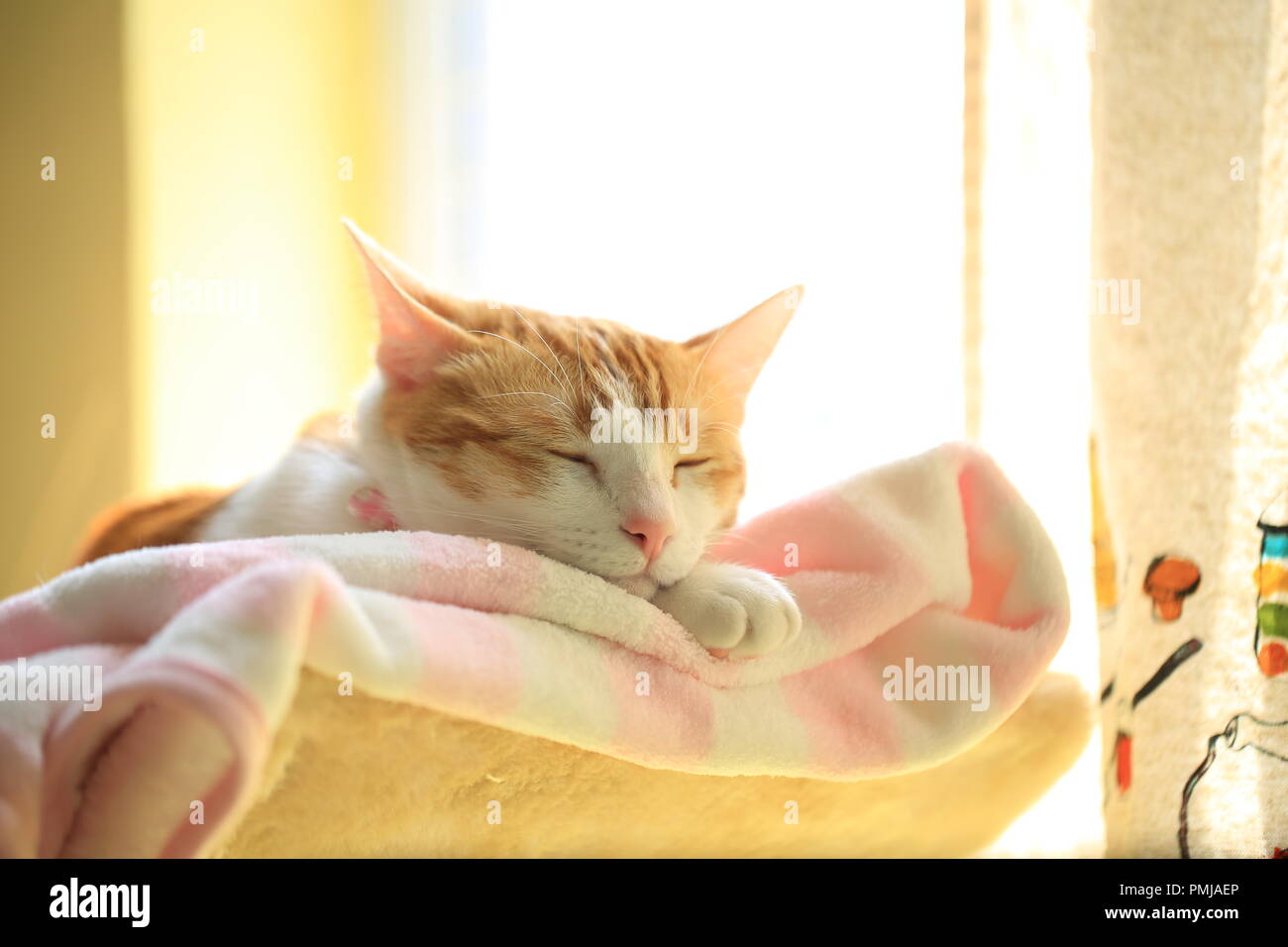 Sleep wake hi-res stock photography and images - Alamy