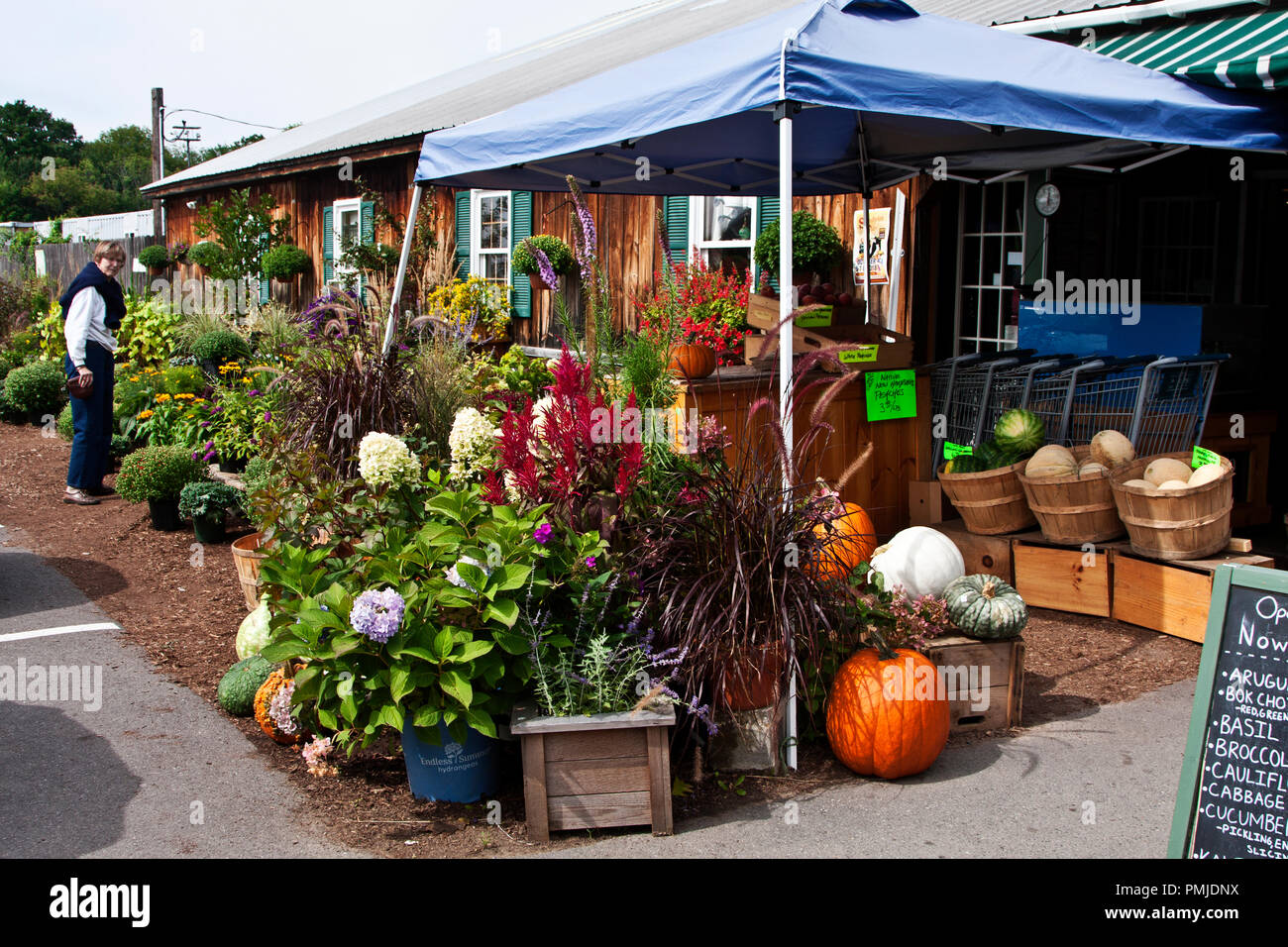 New Hampshire, Meridith, Moulton Farm, garden, farms, vegetables