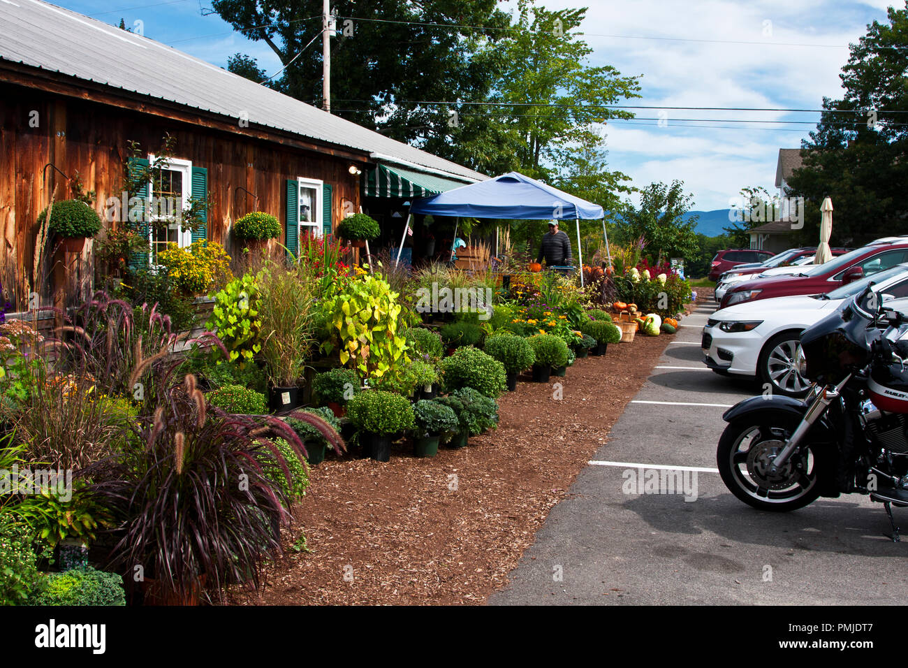 New Hampshire, Meridith, Moulton Farm, garden, farms, vegetables