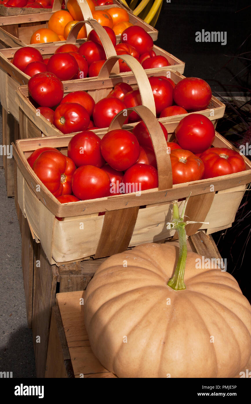 New Hampshire, Meridith, Moulton Farm, garden, farms, vegetables, flowers, plants, pumpkins