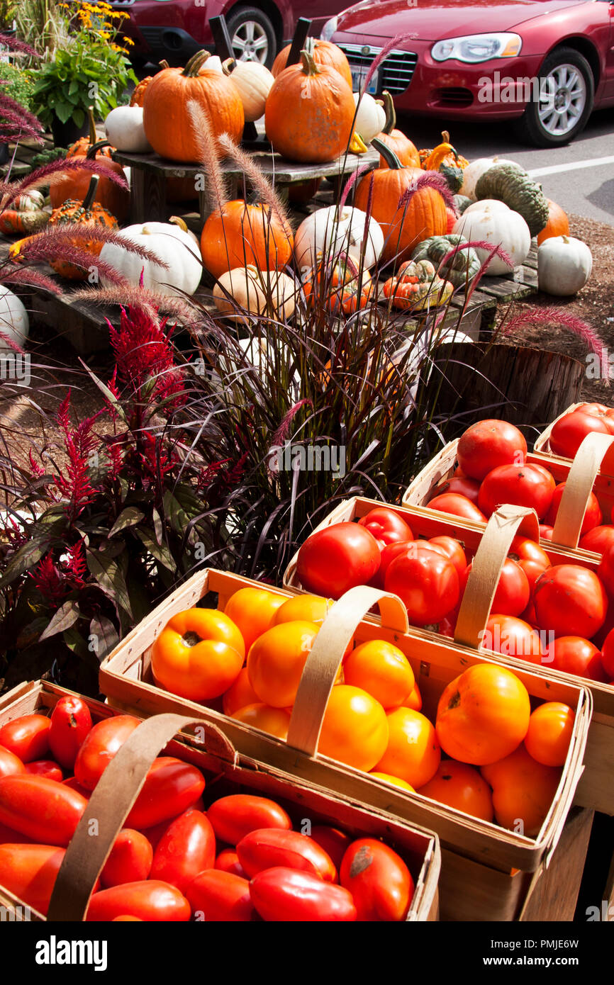 New Hampshire, Meridith, Moulton Farm, garden, farms, vegetables, flowers, plants, pumpkins