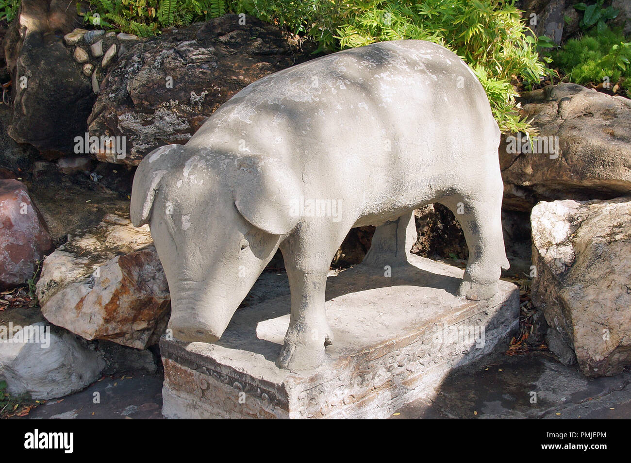 Stone pig statue hires stock photography and images Alamy