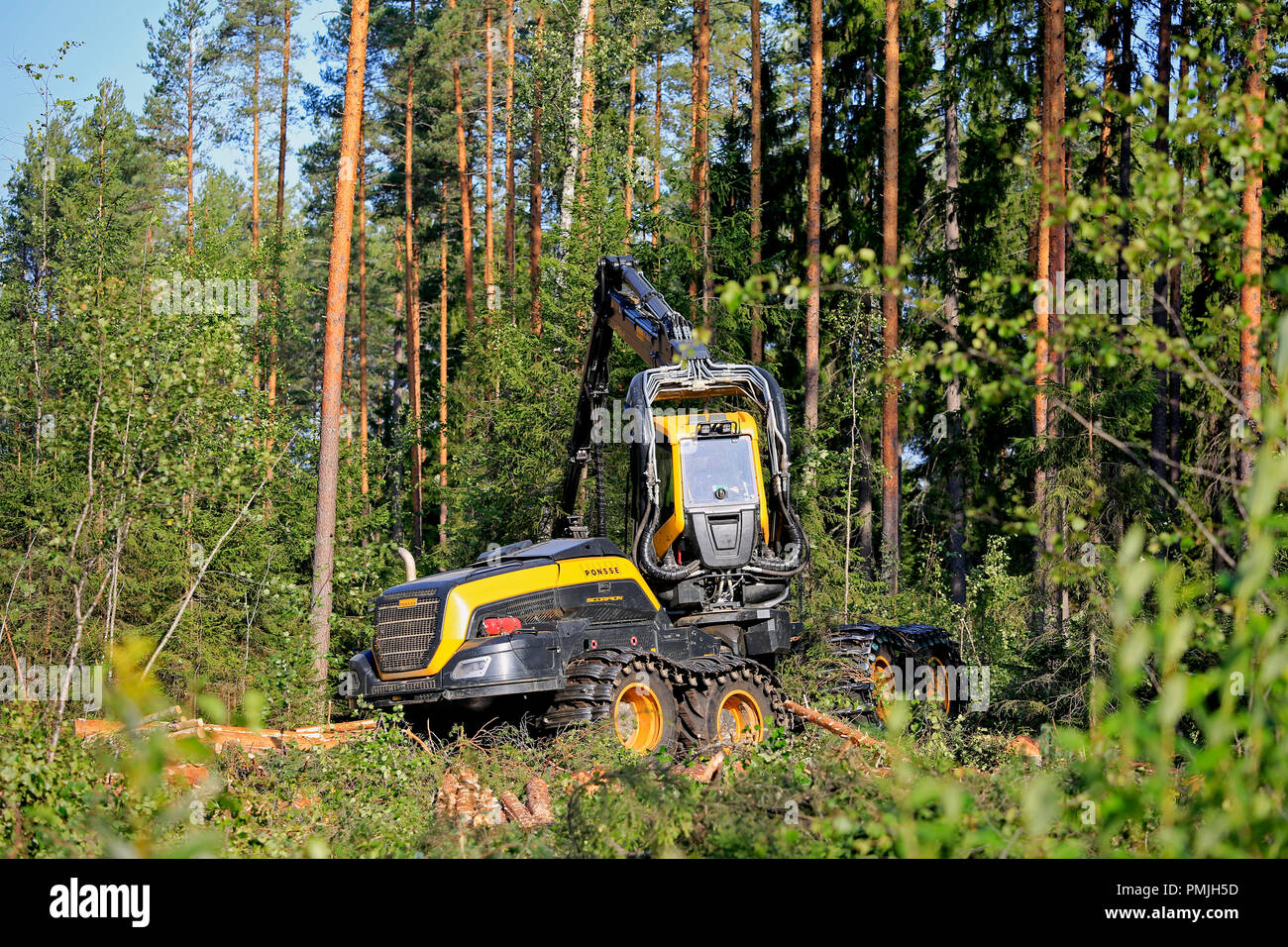 Ponsse Scorpion forest machine working at forest logging site on a sunny day of summer. Jyvaskyla, Finland - August 24, 2018. Stock Photo