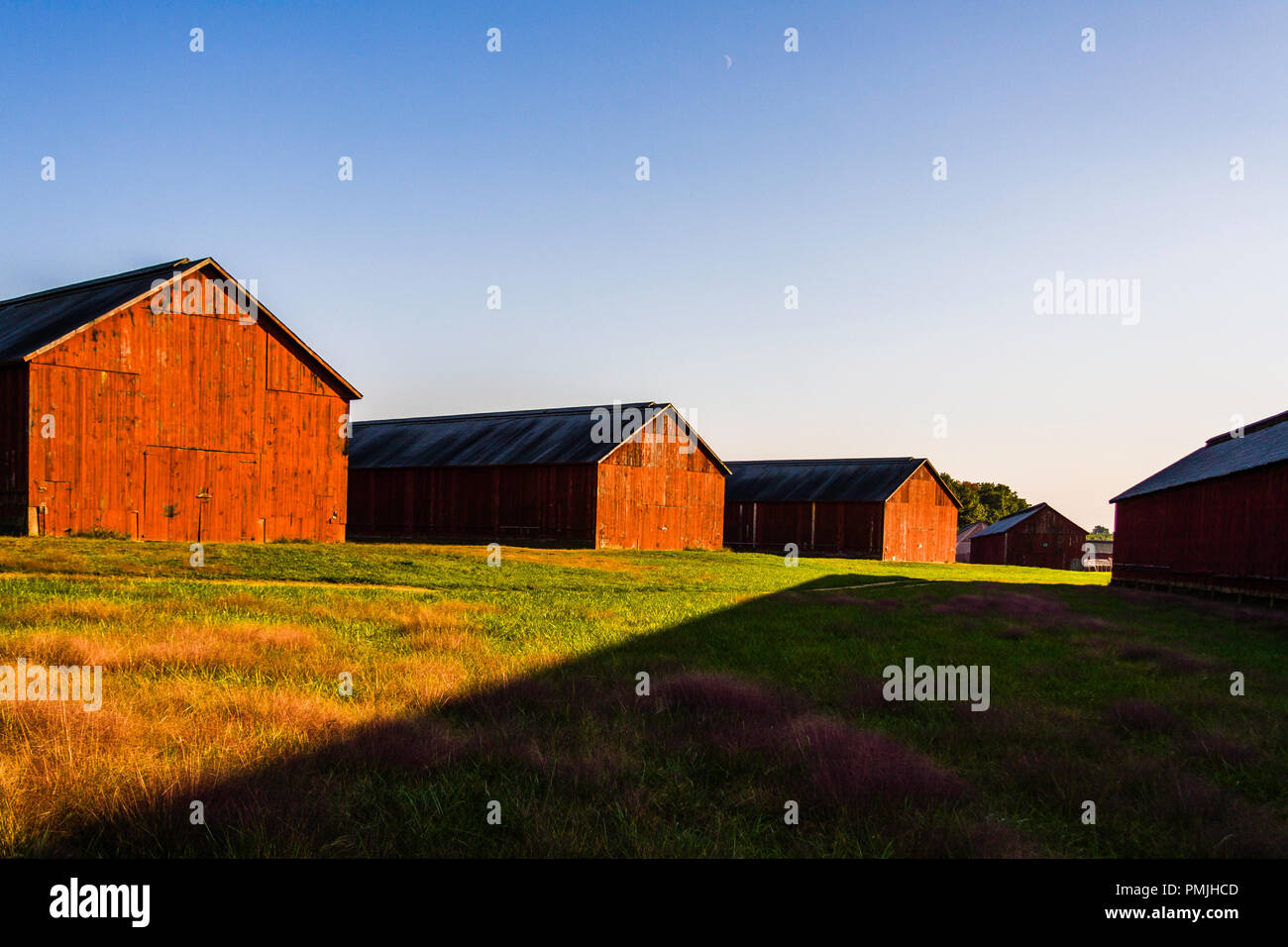 Tobacco Barns Windsor Connecticut Usa Stock Photo 219226349 Alamy